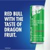 imageRed Bull Energy Drink Dragon Fruit 84 Fl Oz Pack of 24Dragonfruit