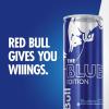imageRed Bull Green Edition Energy Drink Curuba Elderflower with 80mg Caffeine plus Taurine ampamp B Vitamins 84 Fl Oz Pack of 24 CansBlueberry
