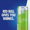 imageRed Bull Green Edition Energy Drink Curuba Elderflower with 80mg Caffeine plus Taurine ampamp B Vitamins 84 Fl Oz Pack of 24 CansPassion Fruit