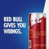 imageRed Bull Peach Edition Energy Drink 84 Fl Oz 24 Cans 6 Packs of 4Peach