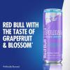 imageRed Bull Spring Edition Sugarfree Energy Drink Grapefruit 84 fl oz Case of 24 cans with 80mg Caffeine Taurine ampamp B VitaminsGrapefruit and Blossom SugarFree