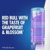 imageRed Bull Spring Edition Sugarfree Energy Drink Grapefruit 84 fl oz Case of 24 cans with 80mg Caffeine Taurine ampamp B VitaminsGrapefruit and Blossom SugarFree