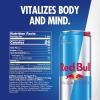 imageRed Bull Sugar Free Energy Drink with 114mg Caffeine plus Taurine ampamp B Vitamins 12 Fl Oz Pack of 24 Cans12 Fl Oz  24pk  1x24