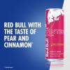 imageRed Bull Winter Edition Pear Cinnamon Energy Drink 12 Fl Oz 24 Cans