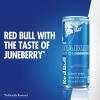 imageRed Bull Zero Energy Drink 12 fl oz with 114mg Caffeine Taurine ampamp B Vitamins Pack of 4 cansSugarFree Juneberry