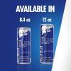 imageRed Bull Fuji Apple and Ginger Winter Edition Energy Drink with 114mg Caffeine plus Taurine ampamp B Vitamins 12 Fl Oz Pack of 24 CansBlueberry