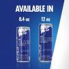 imageRed Bull Fuji Apple and Ginger Winter Edition Energy Drink with 114mg Caffeine plus Taurine ampamp B Vitamins 12 Fl Oz Pack of 24 CansBlueberry