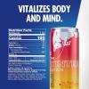 imageRed Bull Fuji Apple and Ginger Winter Edition Energy Drink with 114mg Caffeine plus Taurine ampamp B Vitamins 12 Fl Oz Pack of 24 CansFuji Apple and Ginger
