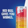 imageRed Bull Fuji Apple and Ginger Winter Edition Energy Drink with 114mg Caffeine plus Taurine ampamp B Vitamins 12 Fl Oz Pack of 24 CansFuji Apple and Ginger