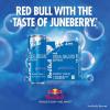 imageRed Bull Fuji Apple and Ginger Winter Edition Energy Drink with 114mg Caffeine plus Taurine ampamp B Vitamins 12 Fl Oz Pack of 24 CansJuneberry