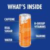imageRed Bull Fuji Apple and Ginger Winter Edition Energy Drink with 114mg Caffeine plus Taurine ampamp B Vitamins 12 Fl Oz Pack of 24 CansStrawberry Apricot