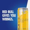 imageRed Bull Fuji Apple and Ginger Winter Edition Energy Drink with 114mg Caffeine plus Taurine ampamp B Vitamins 12 Fl Oz Pack of 24 CansTropical