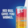 imageRed Bull SugarFree Fuji Apple and Ginger Winter Edition Energy Drink with 80mg Caffeine plus Taurine ampamp B Vitamins 12 Fl Oz 6 Packs of 4 Cans Pack of 24SugarFree Fuji Apple and Ginger