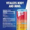 imageRed Bull SugarFree Fuji Apple and Ginger Winter Edition Energy Drink with 80mg Caffeine plus Taurine ampamp B Vitamins 12 Fl Oz 6 Packs of 4 Cans Pack of 24SugarFree Fuji Apple and Ginger