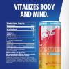 imageRed Bull SugarFree Fuji Apple and Ginger Winter Edition Energy Drink with 80mg Caffeine plus Taurine ampamp B Vitamins 12 Fl Oz 6 Packs of 4 Cans Pack of 24SugarFree Fuji Apple and Ginger