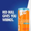 imageRed Bull SugarFree Fuji Apple and Ginger Winter Edition Energy Drink with 80mg Caffeine plus Taurine ampamp B Vitamins 12 Fl Oz 6 Packs of 4 Cans Pack of 24SugarFree StrawberryApricot