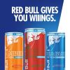 imageRed Bull SugarFree Fuji Apple and Ginger Winter Edition Energy Drink with 80mg Caffeine plus Taurine ampamp B Vitamins 12 Fl Oz 6 Packs of 4 Cans Pack of 24SugarFree Variety Pack