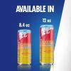 imageRed Bull SugarFree Fuji Apple and Ginger Winter Edition Energy Drink with 80mg Caffeine plus Taurine ampamp B Vitamins 12 Fl Oz 6 Packs of 4 Cans Pack of 24SugarFree Fuji Apple and Ginger