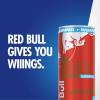 imageRed Bull SugarFree Fuji Apple and Ginger Winter Edition Energy Drink with 80mg Caffeine plus Taurine ampamp B Vitamins 12 Fl Oz 6 Packs of 4 Cans Pack of 24SugarFree Watermelon