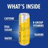 imageRed Bull Peach Edition Energy Drink White Peach 84 fl oz Pack of 4 with 80mg Caffeine Taurine amp B VitaminsTropical