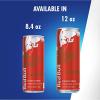 imageRed Bull Peach Edition Energy Drink White Peach 84 fl oz Pack of 4 with 80mg Caffeine Taurine amp B VitaminsWatermelon
