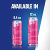 imageRed Bull Peach Edition Energy Drink White Peach 84 fl oz Pack of 4 with 80mg Caffeine Taurine amp B VitaminsWhite Peach