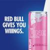 imageRed Bull Peach Edition Energy Drink White Peach 84 fl oz Pack of 4 with 80mg Caffeine Taurine amp B VitaminsWild Berries