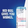 imageRed Bull Spring Edition Sugarfree Energy Drink Cherry Sakura 114mg Caffeine Taurine amp B Vitamins 12oz Pack of 24 Cans