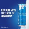imageRed Bull SugarFree Iced Vanilla Berry Energy Drink with 114mg Caffeine plus Taurine amp B Vitamins 12 Fl Oz 6 Packs of 4 Cans Pack of 24SugarFree Juneberry