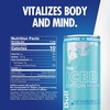 image:imageRed Bull SugarFree Summer Edition Sudachi Lime Energy Drink with 80mg Caffeine plus Taurine amp B Vitamins 84 Fl Oz Pack of 24 CansSugarFree Iced Vanilla Berry