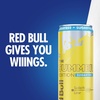 image:imageRed Bull SugarFree Summer Edition Sudachi Lime Energy Drink with 80mg Caffeine plus Taurine amp B Vitamins 84 Fl Oz Pack of 24 CansSugarFree Sudachi Lime