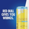 image:imageRed Bull SugarFree Summer Edition Sudachi Lime Energy Drink with 80mg Caffeine plus Taurine amp B Vitamins 84 Fl Oz Pack of 24 CansSugarFree Sudachi Lime