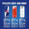 image:imageRed Bull Summer Celebration Variety Pack Red Bull Energy Drink The Red Edition The White Edition 84 Fl Oz 12 Pack