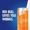 image:imageRed Bull Summer Edition Sudachi Lime Energy Drink with 114mg Caffeine plus Taurine amp B Vitamins 12 Fl Oz Pack of 24 CansStrawberry Apricot