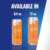 image:imageRed Bull Summer Edition Sudachi Lime Energy Drink with 114mg Caffeine plus Taurine amp B Vitamins 12 Fl Oz Pack of 24 CansStrawberry Apricot