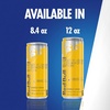 image:imageRed Bull Summer Edition Sudachi Lime Energy Drink with 114mg Caffeine plus Taurine amp B Vitamins 12 Fl Oz Pack of 24 CansTropical