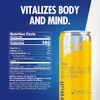image:imageRed Bull Summer Edition Sudachi Lime Energy Drink with 114mg Caffeine plus Taurine amp B Vitamins 12 Fl Oz Pack of 24 CansTropical