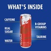 image:imageRed Bull Summer Edition Sudachi Lime Energy Drink with 114mg Caffeine plus Taurine amp B Vitamins 12 Fl Oz Pack of 24 CansWatermelon