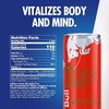 image:imageRed Bull Summer Edition Sudachi Lime Energy Drink with 114mg Caffeine plus Taurine amp B Vitamins 12 Fl Oz Pack of 24 CansWatermelon